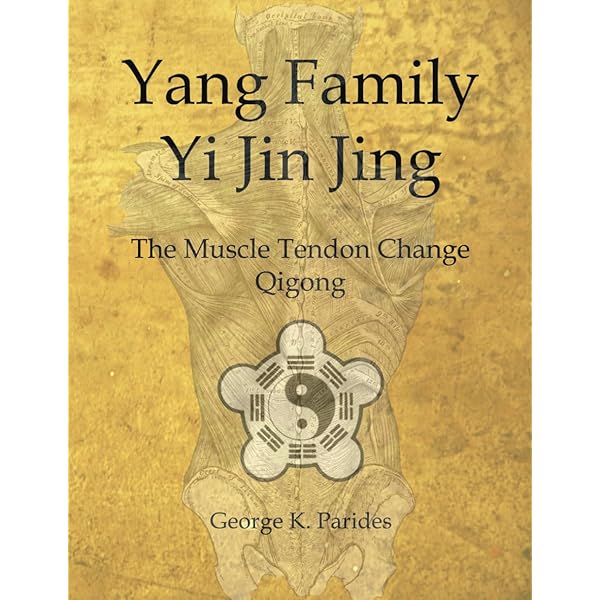 Amazon.com: Fu Qingzhu Diagnosing Men and Women Diseases (Chinese